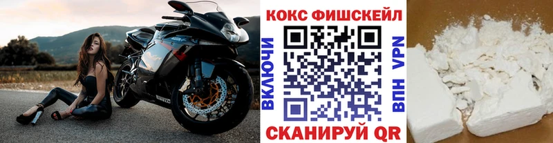 COCAIN Fish Scale маркетплейс состав Княгинино