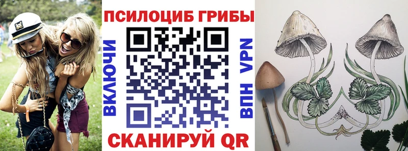 купить наркоту  мега ССЫЛКА  Галлюциногенные грибы Psilocybe  Княгинино 
